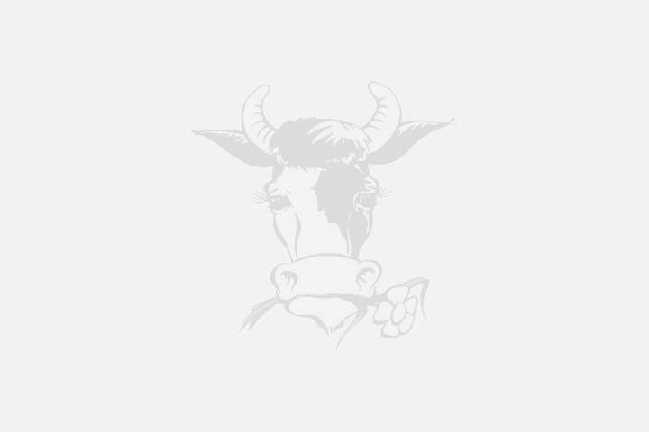 Placeholder afbeelding