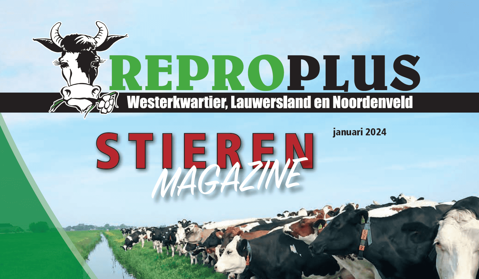 Stierenmagazine januari 2024